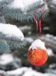Snow-ball on the street tree 