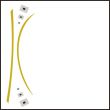 Linear pattern