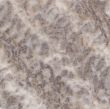 marble texture - High.Res.
