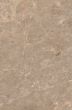 Brown marble texture