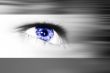 eye design