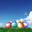 Colorful mix of eggs
