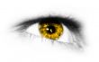 yellow Iris