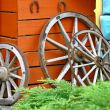  Old Wooden Wheels 