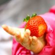  Child Tasting Strawberry Fruit
