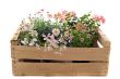 flowers in a crate