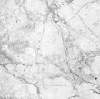 white marble texture background 