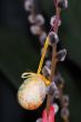 colorful egg tree