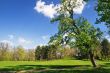 Spring in park