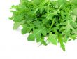 Fresh arugula on a white background