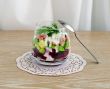 Snack in the glass