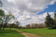 Spring in park