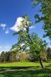 Spring in park