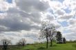 Spring morning