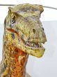 Deinonychus dinosaur