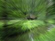 Green unusual background