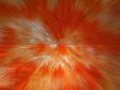 orange and white explosion
