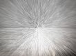 white explosion
