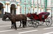 carriage with horses in the background of the Hermitage