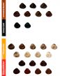 Professional palette of hair colors for color selection