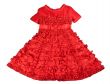 elegant baby red dress