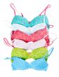 six color cotton bra 