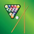 Billiard balls and cues for play game.