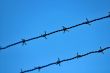 razor wire 
