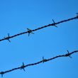 razor wire 