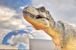 Dinosaur Tyrannosaurus Rex