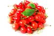 Cherry fruits on a white background