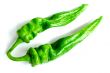 Green pepper