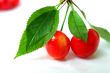 Red cherry fruits on a white background