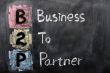 Acronym of B2P - Business to Partner