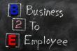 Acronym of B2E - Business to employee