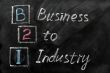 Acronym of B2I - Business to Industry