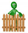 garden fence