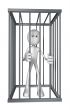 prisoner