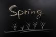 Spring