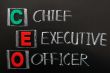 Acronym of CEO - Chief Executive Officer