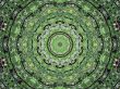 The concentric pattern 1