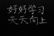 Chinese characters meaning `Study hard and make progress every day`