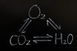 Interaction of oxygen,carbon dioxide and water