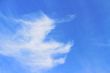 clouds