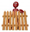 garden fence