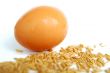 Egg and wheat grain