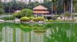 Park in the apartment blocks