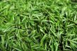 Fresh green tea