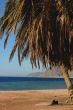 Landscape on beach