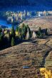 Landscape in the autumn